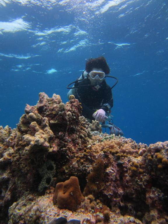 Nusantara Diving Centre Resort & Spa Manado Exteriör bild